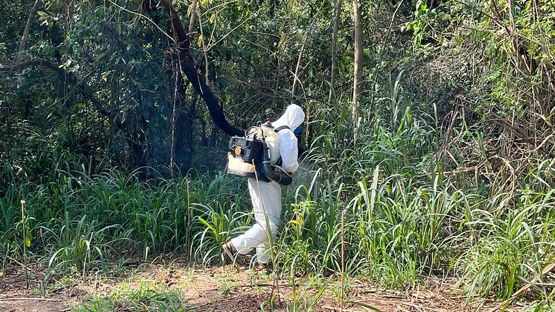 Prefeitura aplica agente biológico para o controle do carrapato-estrela no Córrego Bertini