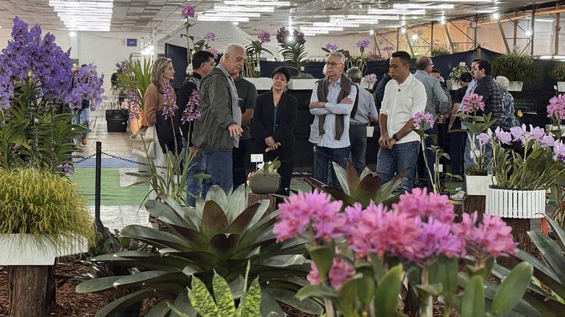Expo Orquídea acontece na FIDAM de sexta a domingo; confira a programação completa