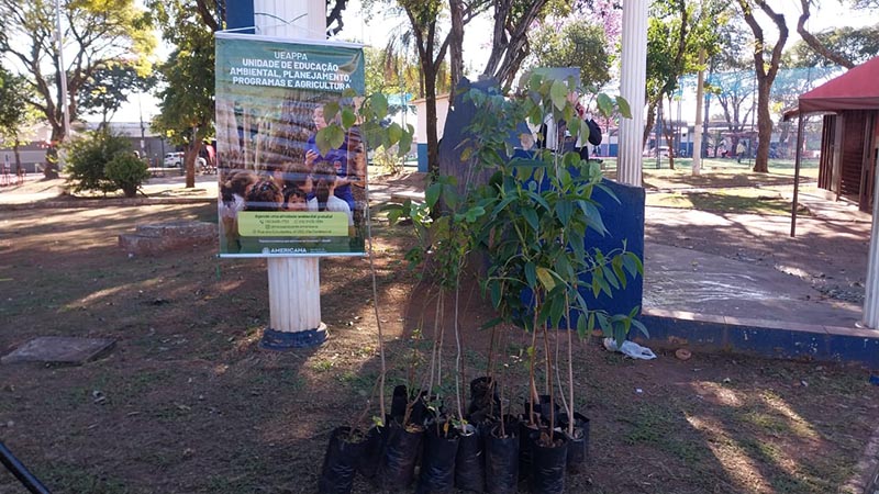 Prefeitura promove educação ambiental e distribuição de mudas em evento na Cidade Jardim