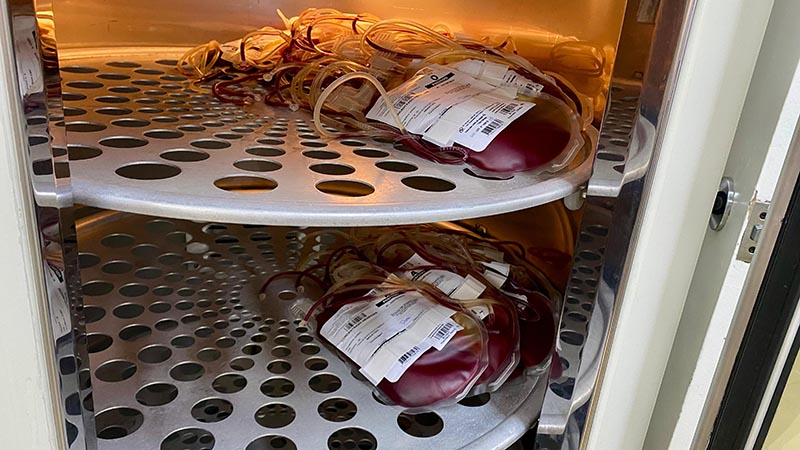 Com queda nas doações no inverno, Banco de Sangue do Hospital Municipal funciona nesta quinta-feira