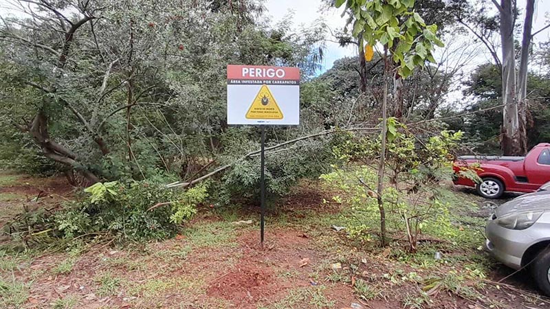 Americana confirma óbito por febre maculosa