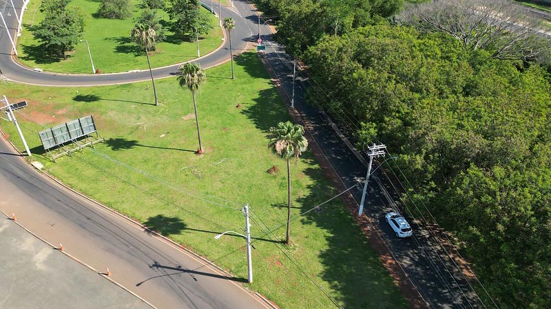 Prefeitura executa manejo de plantas invasoras na Avenida Bandeirantes