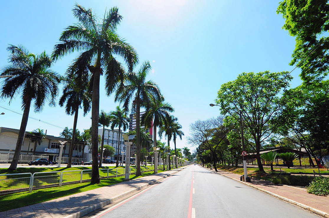 Avenida Brasil
