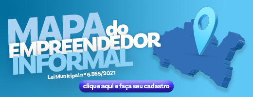 Mapa Empreendedor Informal